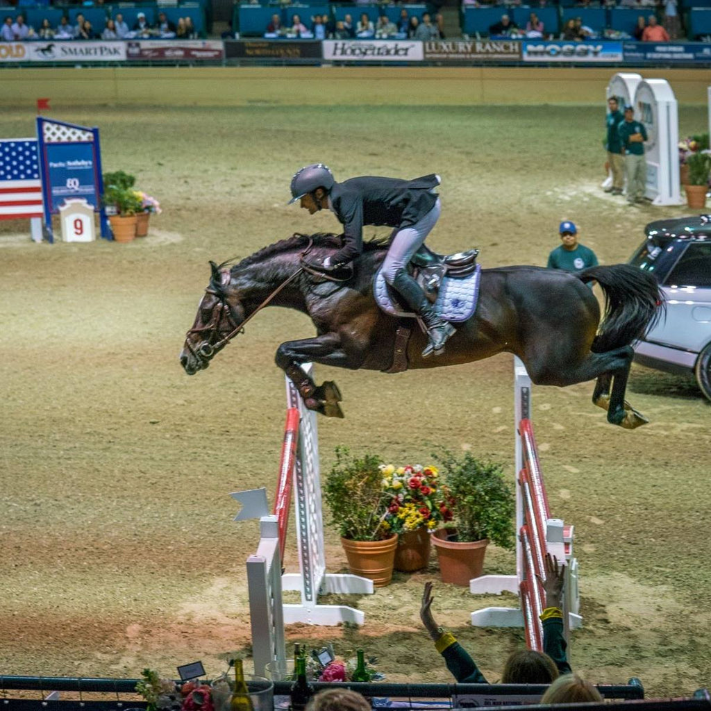 Colicchio 3B: "The Million Dollar Horse"